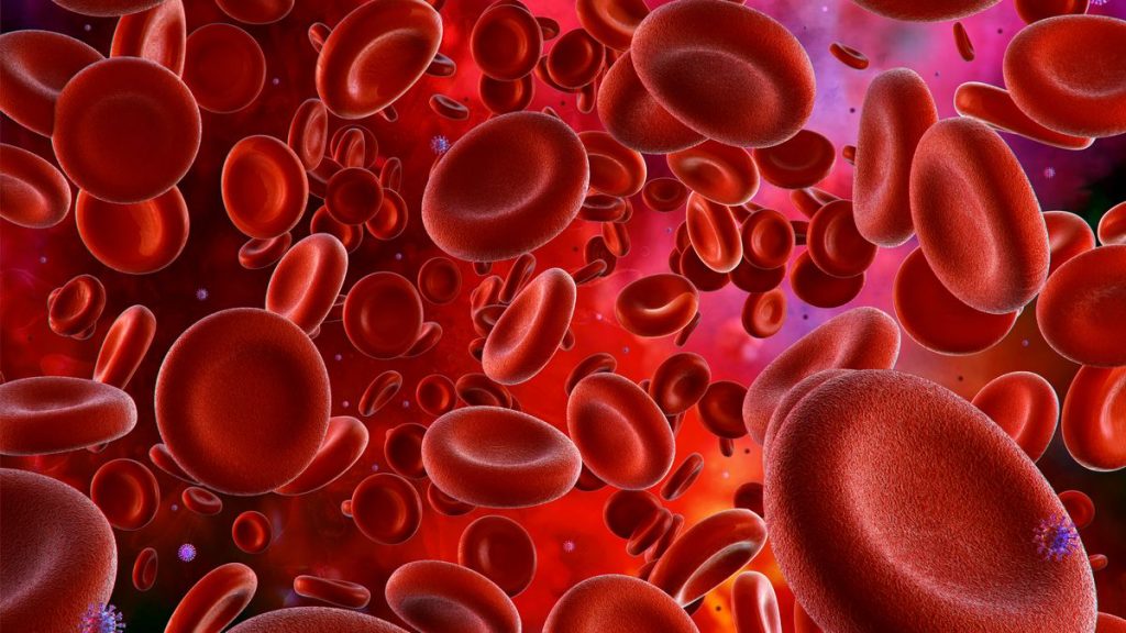 Une globule rouge 1024x576