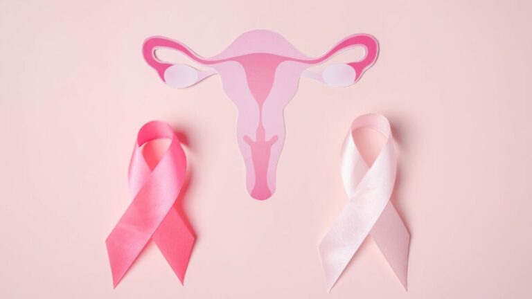 Image d'un utérus féminin schématisé avec 2 rubans