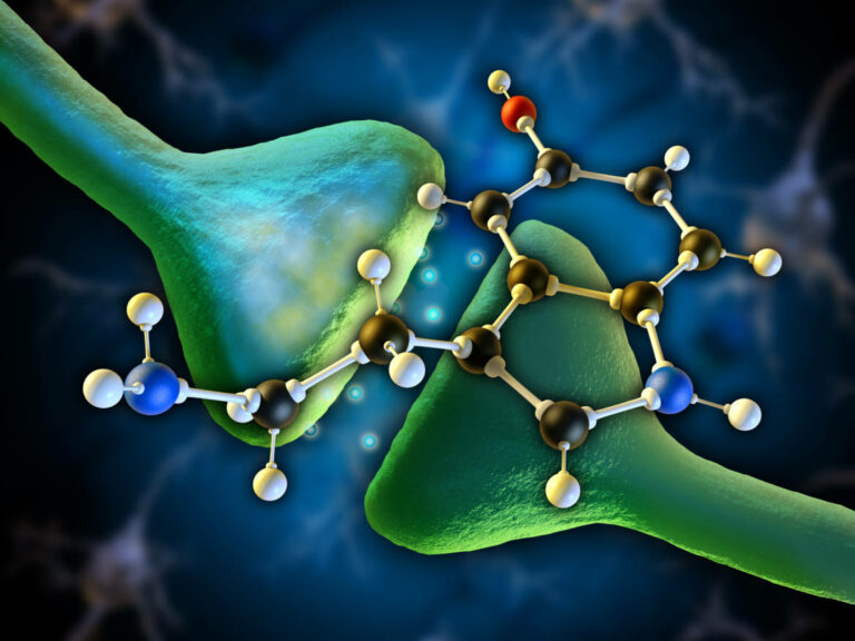 Serotonine depression relation remise question ng image full